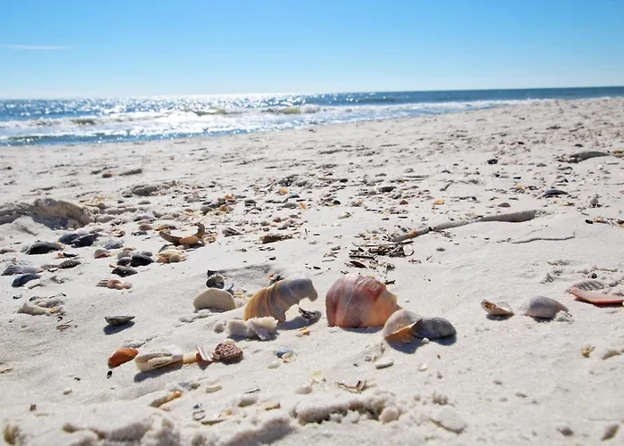 Regatta 105b By Youngs Suncoast Apartment Gulf Shores